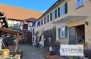 Bauernhaus kaufen in Bundestraße 53, 97941 Tauberbischofsheim, Tauberbischofsheim - Großes Bauernhaus mit Hof, Scheunen und Gewölbekeller - top für Tierhaltung, Gastronomie u.v.m.
