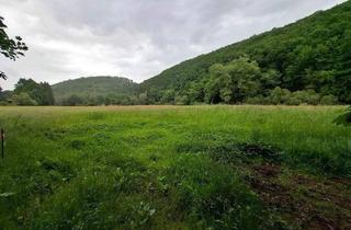 Bauernhaus kaufen in 56410 Montabaur, Montabaur - Bauernhaus mit zusätzlichen Bauplätzen und optionaler Pachtweide in ruhiger Dorflage!