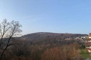 Wohnung mieten in 64678 Lindenfels, Lindenfels - Schönes renoviertes 1-Zimmer Apartment im Ortskern von Lindenfels