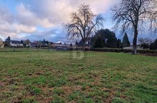 Grundstück zu kaufen in 23942 Dassow, Dassow - FÜR AUSSTEIGER UND EINSTEIGER!