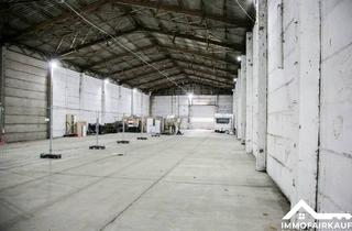 Gewerbeimmobilie mieten in 39116 Magdeburg, Magdeburg / Ottersleben - Lagerfläche in Ottersleben 100m²