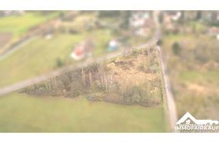 Grundstück zu kaufen in 39291 Lübars, Lübars - Tiny House Grundstück in idyllischer Lage