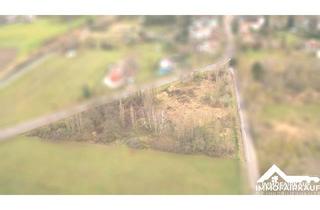 Anlageobjekt in 39291 Lübars, Lübars - Tiny House Grundstück in idyllischer Lage