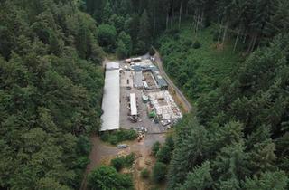 Haus kaufen in 67468 Frankenstein, Frankenstein - Einzigartiges Anwesen am Waldrand - Wohnen und Arbeiten auf über