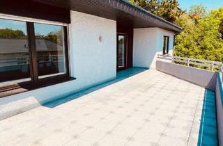 Mehrfamilienhaus kaufen in 97199 Ochsenfurt, Ochsenfurt - Drei,-(Vier) Familienhaus KFW Standard A Südhang Ochsenfurt