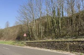 Grundstück zu kaufen in 56859 Bullay, Bullay - 531QM EXKLUSIVES MOSELGOLDSTÜCK IN BESTLAGE