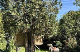 Einfamilienhaus kaufen in 71665 Vaihingen an der Enz, Vaihingen an der Enz - Charmantes Einfamilienhaus mit traumhaft großem Garten - ein Familienparadies mit Baumhaus