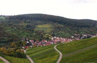 Haus kaufen in 71384 Weinstadt, Weinstadt - Idyllisches Wohnen, umgeben von Weinbergen und Obstbaumwiesen.