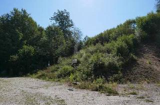 Grundstück zu kaufen in 93128 Regenstauf, Regenstauf - INVESTOREN: BAU EINES MEHRFAMILIENHAUS ODER 2 DHH