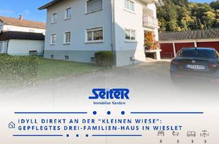 Haus kaufen in Teichmattstraße 3, 79692 Kleines Wiesental, Kleines Wiesental - Gepflegtes Idyll direkt am Dorfbach: Drei-Familien-Haus in Wieslet