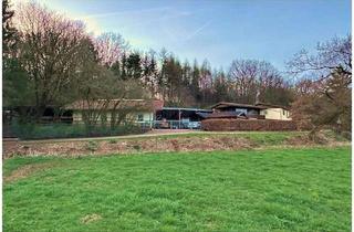 Haus kaufen in 66687 Wadern, Wadern - Repräsentatives Gestüt mit Wohnhaus im Nordsaarland