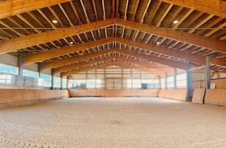 Haus kaufen in 79713 Bad Säckingen, Bad Säckingen - Exklusives Reiteranwesen mit Alpenpanorama - Pferdeparadies mit Perspektive V13084