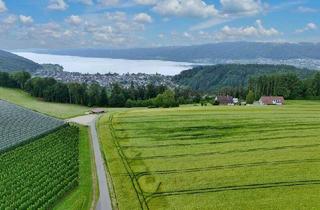 Haus kaufen in 78351 Bodman-Ludwigshafen, Bodman-Ludwigshafen - Seltenes Hofensemble in exponierter Lage