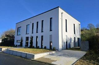 Einfamilienhaus kaufen in 54597 Balesfeld, Balesfeld - Modernes Neubau-Einfamilienhaus mit Smart Home, Wärmepumpe und 253 m² Wohnfläche in der Südeifel