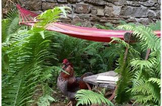 Haus kaufen in 91744 Weiltingen, Weiltingen - Schöner Wohnen und Leben im historischen Brauhaus an der Wörnitz