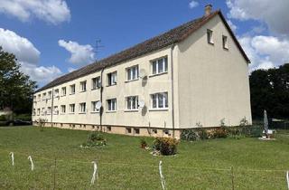 Mehrfamilienhaus kaufen in 39264 Steutz, Steutz - 400 EURm² - Mehrfamilienhaus in Steckby