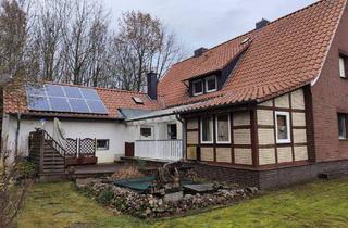 Einfamilienhaus kaufen in 49419 Wagenfeld, Wagenfeld - Freistehendes Einfamilienhaus mit Einliegerwohnung, Terrasse und Nebengebäude in Wagenfeld