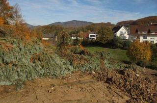 Doppelhaushälfte kaufen in 79650 Schopfheim, Schopfheim - Doppelhaushälfte in erstklassiger Wohnlage