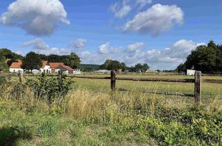 Haus kaufen in 32351 Stemwede, Stemwede - Vielseitig nutzbare Hofstelle