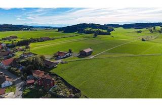 Doppelhaushälfte kaufen in 87662 Osterzell, Osterzell / Oberzell - Zwei Doppelhaushälften inkl. großem Baugrundstück in traumhafter Lage
