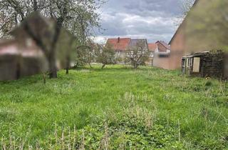 Haus kaufen in 99998 Weinbergen, Mühlhausen - Das Stadthaus zum Wohlfühlen in Mühlhausen OT Grabe - Komfort und Design perfekt kombiniert