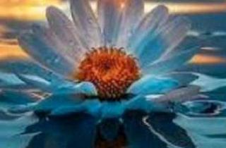 Wohnung kaufen in 66740 Saarlouis, Saarlouis - 2 Wohnungen zu Verkaufen&1 Ferienwohnung Zimmer Küche Bad