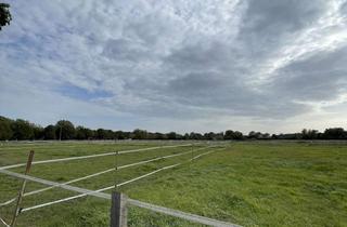 Wohnung kaufen in 63179 Obertshausen, Kernsanierte, gepflegte 3-Zimmer-Wohnung mit Sonnenterasse in Obertshausen