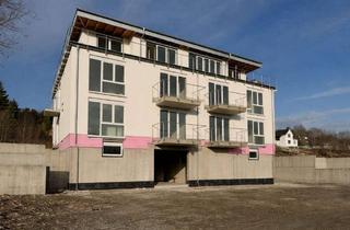 Penthouse kaufen in 34132 Kassel, Luxuriöses 3 Zimmer Penthouse am Brasselsberg