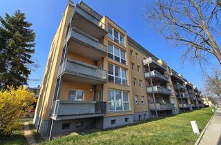 Wohnung mieten in Kastanienstraße 10, 01259 Leuben, ruhige und helle 3-Zimmer-Whg. mit Balkon und EBK (wenn gewünscht-kostenfrei) zu vermieten.