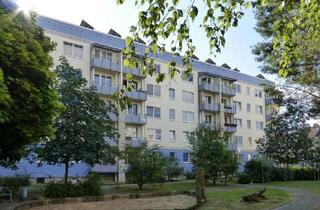 Wohnung mieten in Willi-Bredel-Straße 10, 17034 Vogelviertel, Kleine Wohnung sucht neuen Mieter!