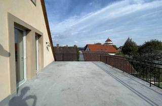 Wohnung mieten in Am Zehnt, 74889 Sinsheim, Besondere Maisonettewohnung mit exklusiver Dachterrasse