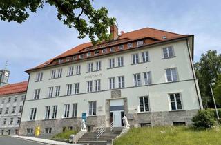 Wohnung mieten in 98544 Zella-Mehlis, 3,5-Zimmer-Wohnung im Zentrum von Zella-Mehlis - unrenovierter Zustand