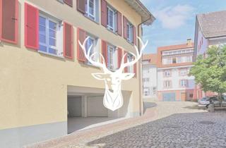 Wohnung mieten in 79761 Waldshut-Tiengen, Whg. Nr. 4, Barrierefreie, moderne 3-Zimmer- Wohnung mit Garagenstellplatz in Tiengen zu vermieten