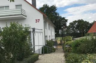 Wohnung mieten in Am Koppelberg 37, 31634 Steimbke, 2 Zimmerwohnung im Souterrain