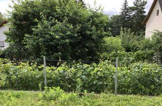 Wohnung mieten in Speyerer Str. 50/1, 74078 Frankenbach, Gepflegte 1-Zimmer-Wohnung mit Terrase und neuer Einbauküche in Heilbronn