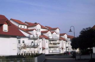 Wohnung mieten in 76756 Bellheim, 2 Zimmer Erdgeschosswohnung mit Balkon und Tiefgaragenstellplatz in Bellheim