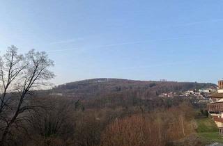 Wohnung mieten in 64678 Lindenfels, Schönes renoviertes 1-Zimmer Apartment im Ortskern von Lindenfels