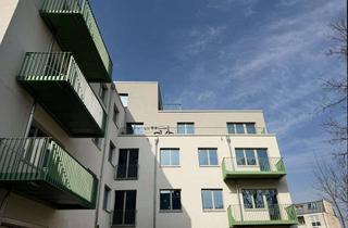 Wohnung mieten in Pasewalker Straße 96, 13127 Französisch Buchholz, Ihr Ruhepol im PS96: 2 Zimmer, Terrasse und eigener Garten