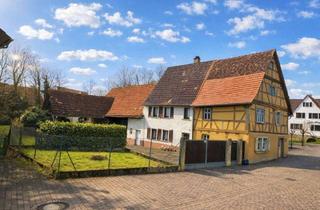 Doppelhaushälfte kaufen in 69242 Mühlhausen, Doppelhaushälfte mit Scheune und großem Grundstück in Mühlhausen