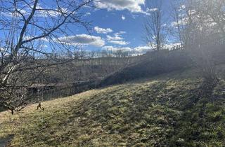 Haus kaufen in 07407 Remda-Teichel, Ruhig gelegener Dreiseitenhof in Heilsberg mit zwei 4 Zimmerwohnungen und Erweiterungsmöglichkeiten