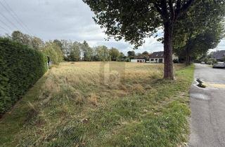 Anlageobjekt in 49205 Hasbergen, VIEL PLATZ FÜR IHRE IMMOBILIENPROJEKTE