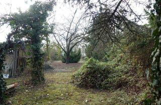 Grundstück zu kaufen in 01619 Zeithain, Baugrundstück mit Blick über die Elbe