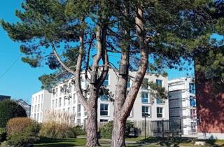 Wohnung mieten in Schneiderstrasse, 52428 Jülich, Erstbezug QuadroPolis Jülich: Dein All-in-Space für Studium & Ausbildung (KfW 40+)