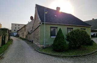 Einfamilienhaus kaufen in 39397 Gröningen, Einfamilienhaus in ruhiger Lage von Gröningen