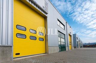 Gewerbeimmobilie mieten in 56564 Neuwied, Lager-/Produktionsflächen | ab ca. 5.000 m² | Kranbahnen | 9,75 UKK