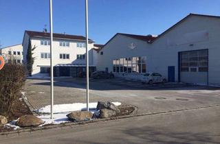 Büro zu mieten in Benzstraße, 93092 Barbing, Industrie-/Gewerbehallen mit Bürogebäude