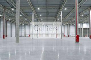 Gewerbeimmobilie mieten in 72415 Grosselfingen, Hochmoderne Produktionshalle