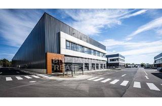 Gewerbeimmobilie mieten in 21077 Sinstorf, Exklusiv: Hochwertige Logistik-/Produktionsflächen an der A7