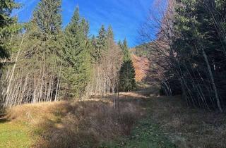 Anlageobjekt in 83700 Rottach-Egern, Waldgrundtück mit Schafwiese