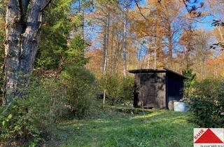 Grundstück zu kaufen in 75395 Ostelsheim, Freizeitgrundstück in Ostelsheim – Gebiet "Hönig"